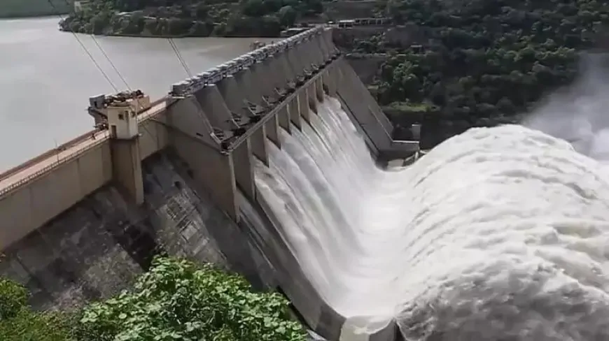 भाखड़ा नहर से पानी बंटवारे पर पंजाब हरियाणा में विवाद, 2 राज्यों के बीच जल विवाद में केंद्र की एंट्री