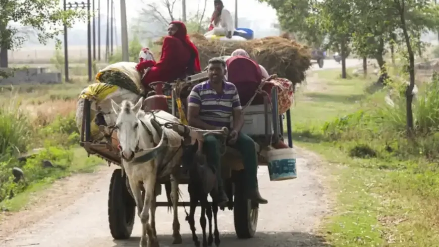 पंजाब के सीमावर्ती इलाकों में दहशत, परिवार और जरूरी सामान लेकर घरों से लोगों का पलायन