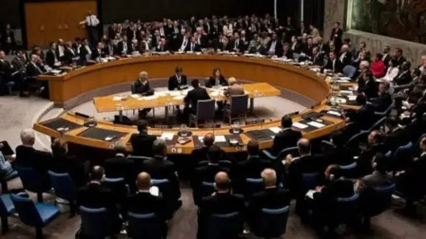 पहलगाम हमले को लेकर पाकिस्तान की बढ़ी मुश्किलें, UNSC में भारत ने रखे सबूत