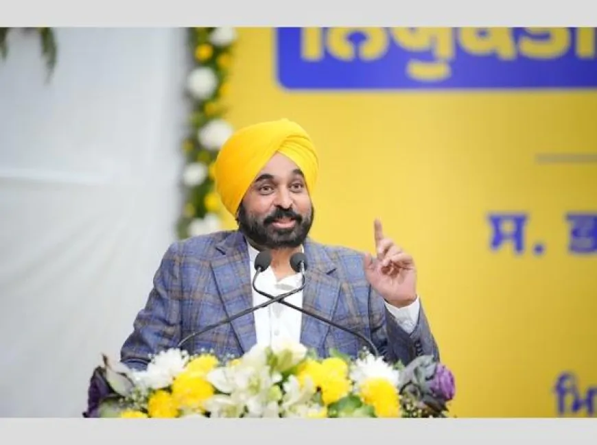 धान की सीधी बुवाई पर सहायता राशि पंजाब सरकार देगी 1500 रुपये प्रति एकड़- CM मान