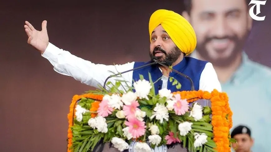 पंजाब सरकार का मिशन रोजगार जारी, 11 विभागों में 450 कर्मचारियों को दी नौकरी