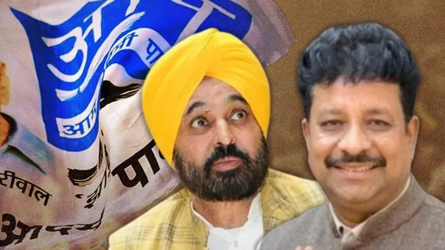 मान सरकार की भ्रष्टाचार के खिलाफ बड़ी कार्रवाई, अपनी ही पार्टी के विधायक रमन अरोड़ा के घर विजिलेंस रेड