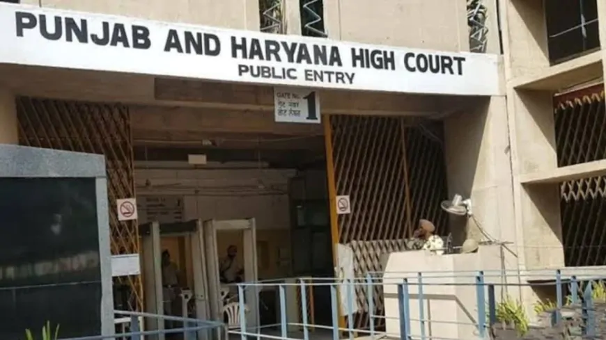 पानी विवाद पर पंजाब-हरियाणा HC में हुई सुनवाई, पानी विवाद पर हाईकोर्ट ने फैसला रखा सुरक्षित