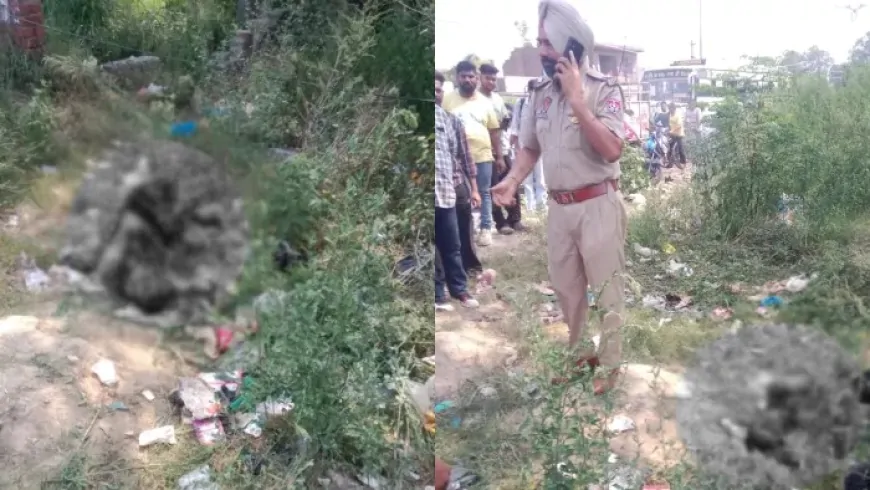 मजीठा रोड बाईपास पर हुआ ब्लास्ट, हादसे में एक शख्स की मौत