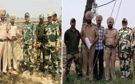 अमृतसर और तरनतारन में BSF की बड़ी कार्रवाई, तलाशी के दौरान 4 ड्रोन और हेरोइन के पैकेट किए बरामद 