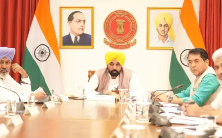 लैंड पूलिंग पॉलिसी को पंजाब कैबिनेट की मंजूरी, किसान से जबरन नहीं ली जाएगी जमीन 