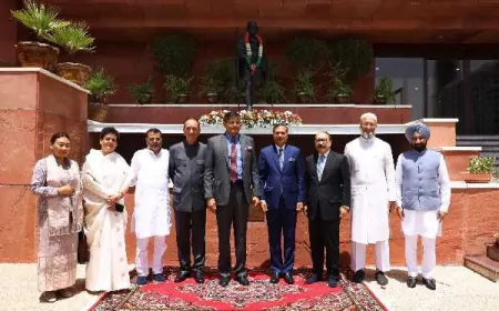 बैजयंत पांडा के नेतृत्व वाला प्रतिनिधिमंडल लौटा स्वदेश, PM मोदी से करेंगे मुलाकात