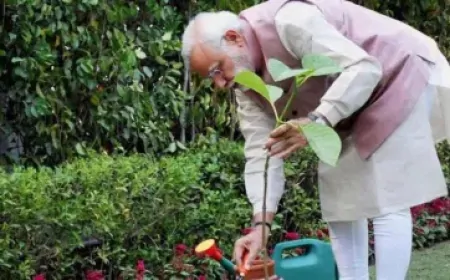 विश्व पर्यावरण दिवस के मौके पर  PM मोदी करेंगे ‘एक पेड़ मां के नाम’ अभियान की शुरुआत,   कई राज्यों के मुख्यमंत्री कार्यक्रम में रहेंगे मौजूद