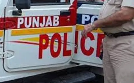 तरनतारन में तस्करों के खिलाफ पुलिस की बड़ी कार्रवाई, हथियार तस्कर गिरोह का किया पर्दाफाश