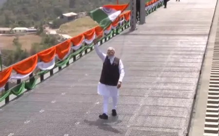 दुनिया के सबसे ऊंचे चिनाब ब्रिज पर तिरंगा लेकर क्यों उतरे पीएम मोदी?