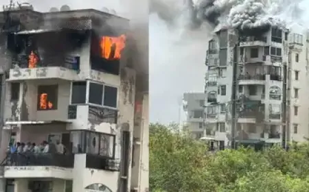 Delhi Fire News: दिल्ली के द्वारका स्थित अपार्टमेंट में लगी भीषण आग, तीन लोग बिल्डिंग से गिरे नीचे
