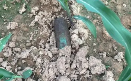 पठानकोट : खेत में मिली बम जैसी वस्त, इलाके में भारी फोर्स तैनात 