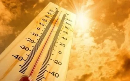 पूरे उत्तर भारत में भीषण गर्मी, मौसम विभाग ने जारी किया अलर्ट