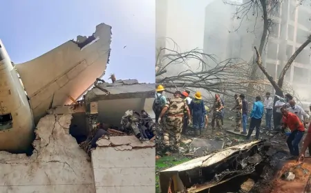 एयर इंडिया का बोइंग 787 ड्रीमलाइनर विमान क्रैश, विमान हादसे में 265 मौतों की पुष्टि