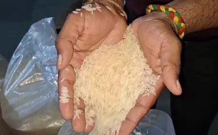 ईरान-इजरायल युद्ध का भारत में व्यापार पर असर, युद्ध के कारण हरियाणा से बासमती चावल का निर्यात रुका