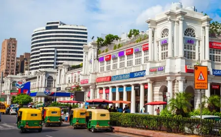 दिल्ली: होटल, स्विमिंग पूल जैसे 7 व्यवसायों के लिए लाइसेंस जरूरी नहीं