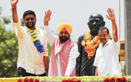 गुजरात के विसावदर में भी चली 'झाड़ू', गोपाल इटालिया ने हासिल की जीत