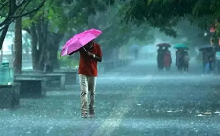 दिल्ली में आज मानसून के पहुंचने की संभावना, बारिश और आंधी का येलो अलर्ट जारी