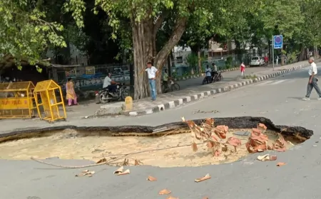 गड्ढे मुक्त होंगी दिल्ली की सड़कें,  एक दिन में 34OO गड्ढ़े भरेगी PWD 