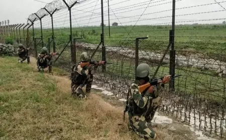 जम्मू-कश्मीर के राजौरी में LoC पार करने की आतंकियों की कोशिश नाकाम, सेना ने दिया करारा जवाब