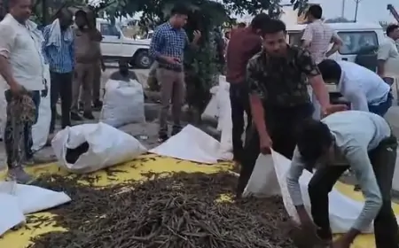 मथुरा में आगरा ANTF टीम को मिली बड़ी सफलता, नशा तस्कर के साथ भारी मात्रा में गांजा बरामद