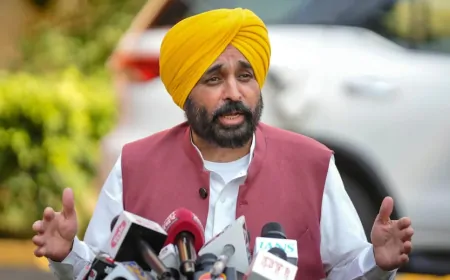 पंजाब सरकार ने नीति आयोग से की 5 मांगें, सीमावर्ती जिलों के लिए विशेष पैकेज की मांग