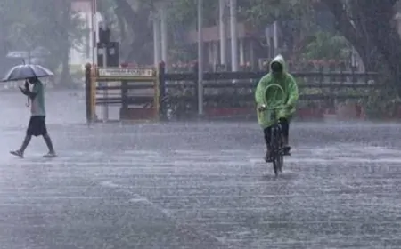 हरियाणा के कई जिलों में तेज बारिश का अलर्ट, मौसम विभाग ने 8 जिलों में बारिश का अलर्ट किया जारी