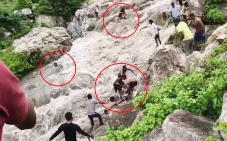 छुट्टी मनाने गए कई सैलानी वाटरफॉल में फंसे, बिहार के गया में वाटरफॉल में फंसे कई लोग