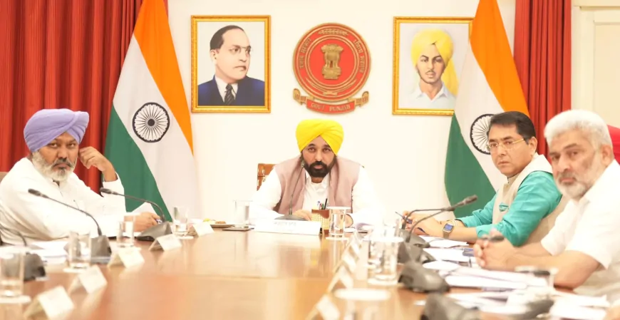 लैंड पूलिंग पॉलिसी को पंजाब कैबिनेट की मंजूरी, किसान से जबरन नहीं ली जाएगी जमीन