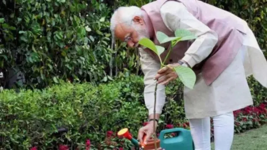विश्व पर्यावरण दिवस के मौके पर PM मोदी करेंगे ‘एक पेड़ मां के नाम’ अभियान की शुरुआत, कई राज्यों के मुख्यमंत्री कार्यक्रम में रहेंगे मौजूद