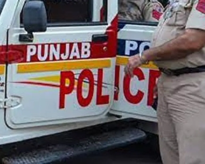 तरनतारन में तस्करों के खिलाफ पुलिस की बड़ी कार्रवाई, हथियार तस्कर गिरोह का किया पर्दाफाश
