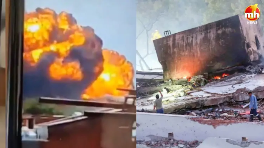 विमान हादसे के बाद 1000° सेल्सियस तक पहुंचा था तापमान, पशु-पक्षियों की भी गई जान