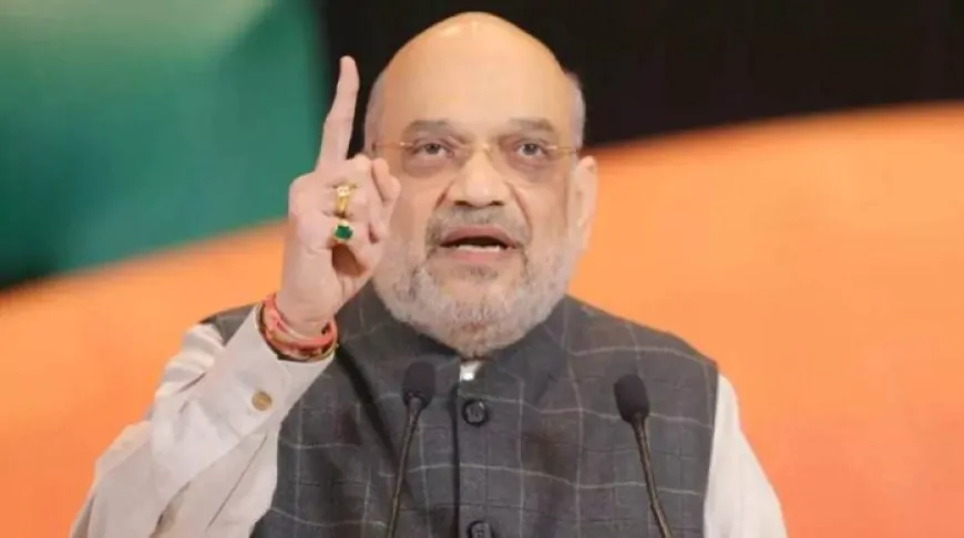 हमारी भाषा ही हमारी पहचान, आने वाले समय में अंग्रेजी बोलने में आएगी शर्म- Amit Shah