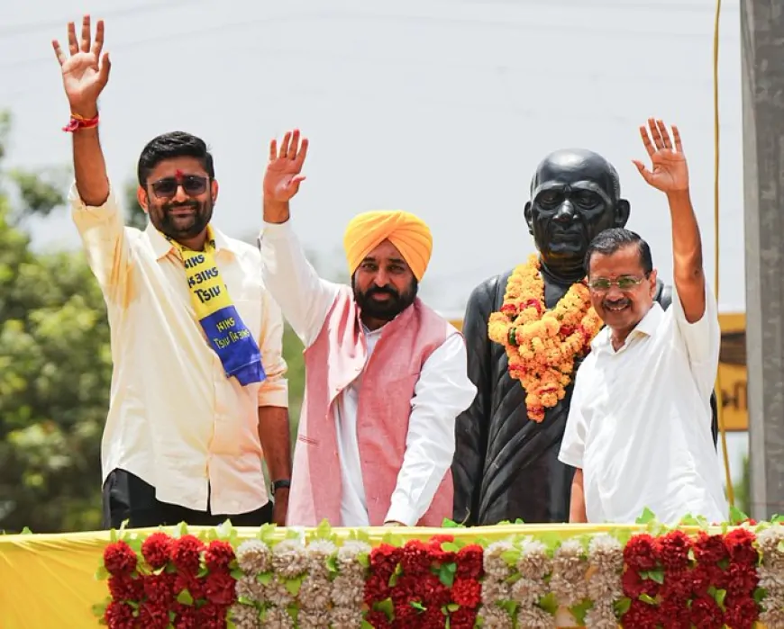 गुजरात के विसावदर में भी चली 'झाड़ू', गोपाल इटालिया ने हासिल की जीत