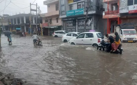चंडीगढ़ समेत पंजाब-हरियाणा के कई जिलों में बारिश, अगले 3-4 दिन भारी बारिश की संभावना