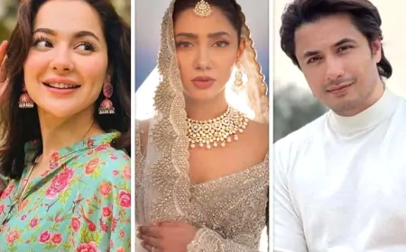 फिर बैन हुए पाकिस्तानी सेलिब्रिटीज के सोशल मीडिया हैंडल