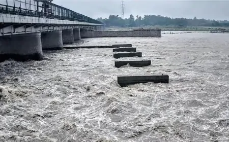 पहाड़ी इलाकों में हो रही बारिश का दिल्ली में असर, तेजी से बढ़ रहा यमुना नदी का जलस्तर