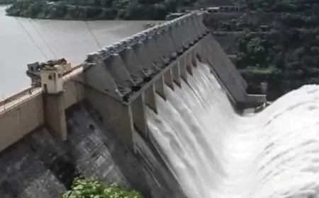 चंडीगढ़ में BBMB की अहम बैठक आज, पंजाब, हरियाणा, हिमाचल और राजस्थान के बीच जल बंटवारे पर चर्चा