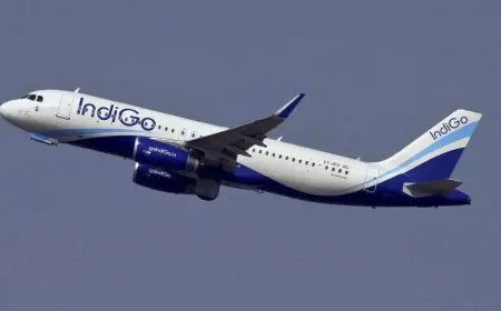 पटना से दिल्ली जा रहे इंडिगो विमान से टकराया पक्षी, 175 यात्री थे सवार