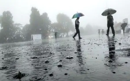 हरियाणा में मानसून हुआ सक्रिय, हरियाणा के कई जिलों में हुई बारिश