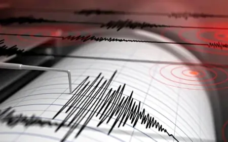 Earthquake in Delhi NCR: दिल्ली एनसीआर में तेज भूकंप के झटके