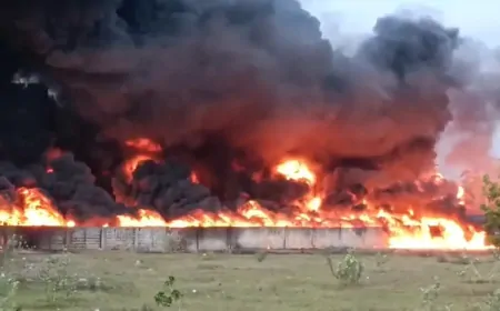 तमिलनाडु में डीजल लेकर जा रही मालगाड़ी में लगी भयानक आग