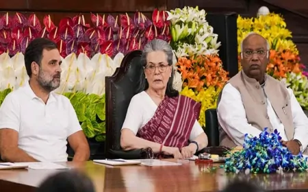 कांग्रेस संसदीय दल की नेता सोनिया गांधी ने बुलाई बैठक, मानसून सत्र में सरकार को घेरने को लेकर होगी चर्चा 