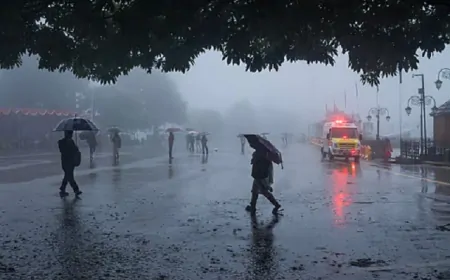 हिमाचल प्रदेश में भारी बारिश से तबाही,  IMD ने 3 जिलों में भारी बारिश का अलर्ट किया