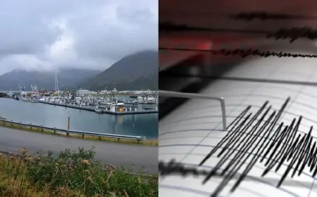 अमेरिका के अलास्का में भूकंप के तेज झटके, 7.3 तीव्रता का आया भूकंप