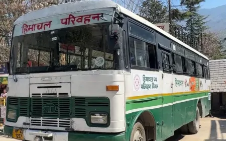 आपदा के बाद HRTC सेवाएं हुई शुरू, बस सेवा शुरू होने से लोगों को मिली राहत