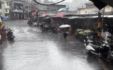 नैनीताल, चंपावत समेत उत्तराखंड के कई शहरों में 20 जुलाई को हो सकती भारी बारिश, IMD का अलर्ट