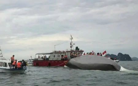 वियतनाम में नाव पलटने से 34 लोगों की मौत,  हादसे के समय नाव में सवार थे 50 से ज्यादा लोग