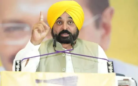  केंद्र सरकार की मदद के बिना धूरी में बनाएंगे रेलवे ब्रिज- CM मान 