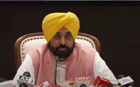 लैंड पूलिंग पॉलिसी : प्लॉट मिलने तक किसान को मिलेंगे सालाना एक लाख रुपए- CM मान 